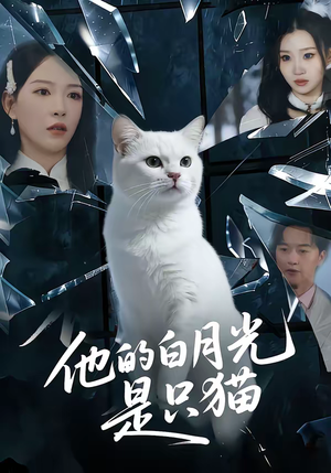 他的白月光是只猫（69集）高分推荐免费看