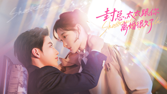 封总，太太跟你离婚很久了（70集）解说