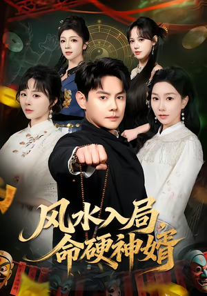 风水入局，命硬神婿（80集）360网盘观看