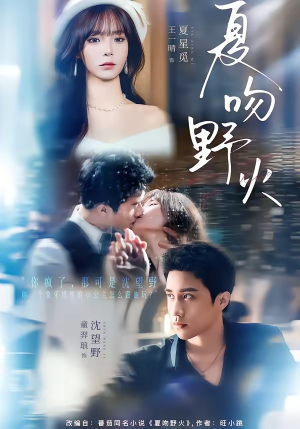 夏吻野火（80集）精彩短剧下载