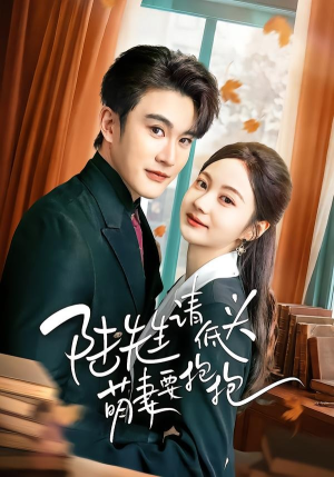 陆先生请低头萌妻要抱抱（51集）精彩好看的短剧