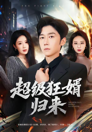 超级狂婿归来（81集）好看又上头短剧