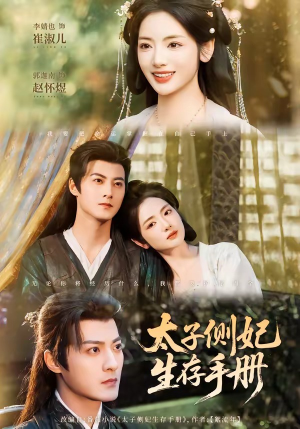 太子侧妃生存手册（63集）在线免费观影