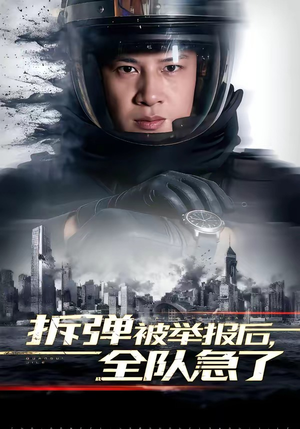 拆弹被举报后，全队急了（50集）热门短剧又来了