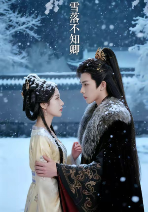 雪落不知卿（62集）推荐好短剧