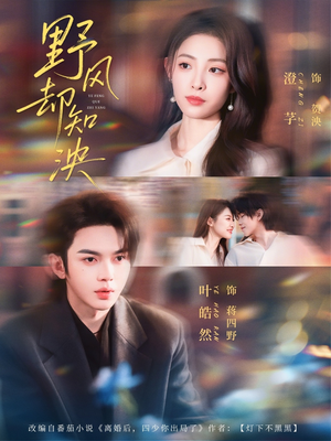 野风却知泱（80集）好看的短剧推荐