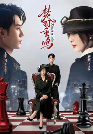 焚羽重鸣（60集）短剧越看越精彩