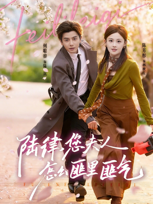 陆律，您夫人怎么匪里匪气（60集）免费短剧就是爽