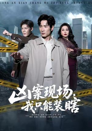 凶案现场，我只能装瞎（72集）高分推荐免费看