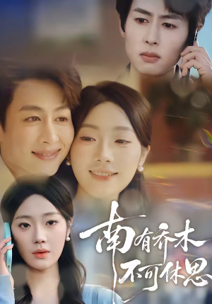 南有乔木，不可休思（68集）短剧爆款推荐