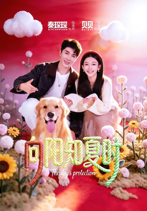 向阳知夏时（80集）短剧