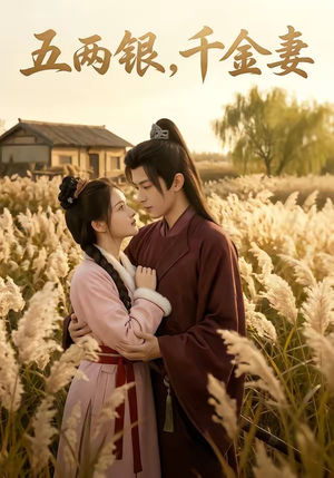 五两银，千金妻（60集）热门爆款短剧