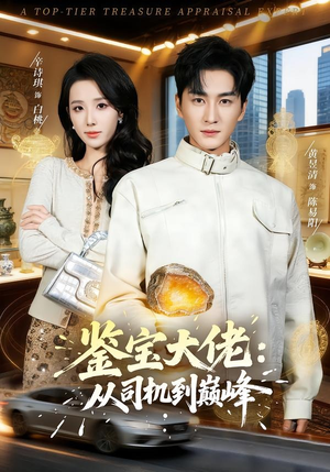 鉴宝大佬： 从司机到巅峰（80集）精彩连连免费看