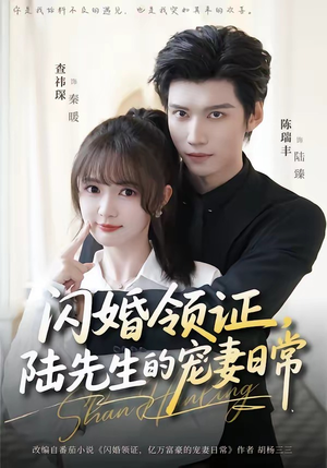 闪婚领证，陆先生的宠妻日常（86集）好看的短剧电影