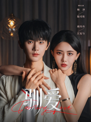 驯爱（80集）一共多少集