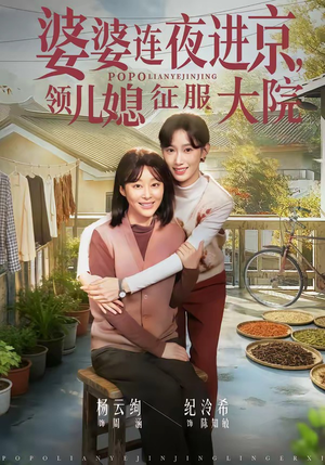 婆婆连夜进京，领儿媳征服大院（78集）经典老剧免费看