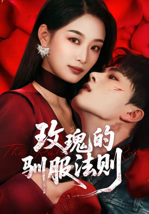 玫瑰的驯服法则（65集）短剧演员排行榜