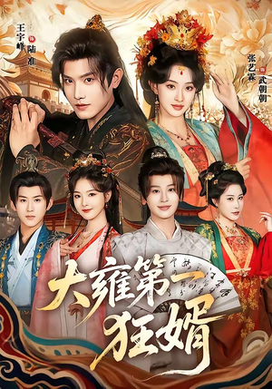 大雍第一狂婿（90集）全网独播免费看