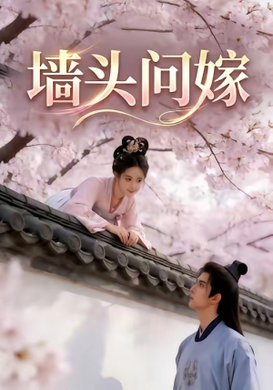 墙头问嫁（29集）在线播放