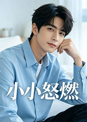 小小怒燃（19集）超火热门短剧