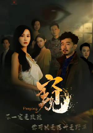 窥（37集）精彩短剧来袭