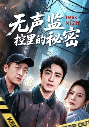 无声监控里的秘密（84集）爆款热门短剧