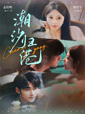 潮汐归港（66集）好看短剧又来了