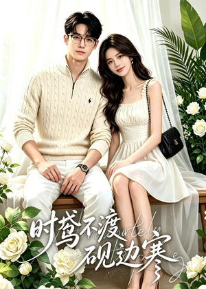 时鸢不渡砚边寒（41集）怎么看全集