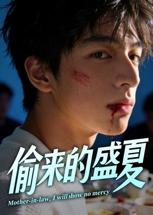 偷来的盛夏（40集）全集在线看