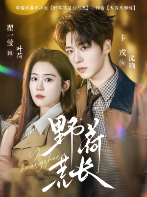 野荷荒长（86集）零花钱看整部剧