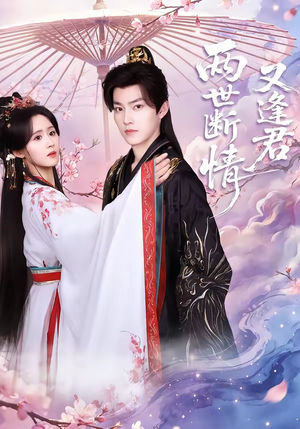 两世断情又逢君（71集）番茄短剧看全集