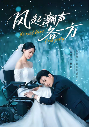 风起潮声各一方（84集）今日最火短剧