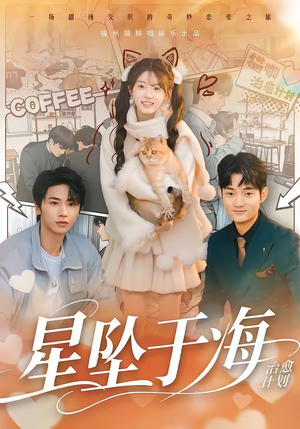 星坠于海（50集）大结局太过瘾了
