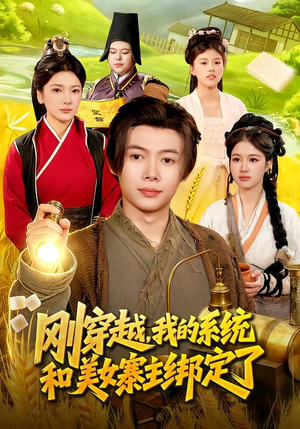 刚穿越，我的系统和美女寨主绑定了（98集）全集一网打尽