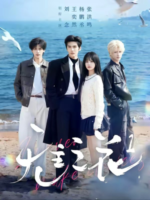 无主之花1（72集）短剧全集更精彩