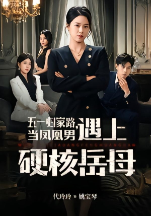 五一归家路，当凤凰男遇上硬核岳母（60集）在线看完整版