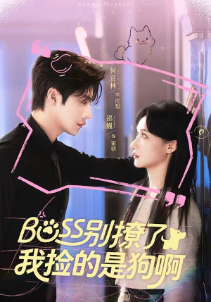 Boss别撩了，我捡的是狗呀（65集）一口气看完