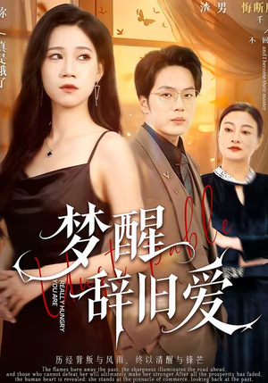 梦醒辞旧爱（55集）热门短剧推广