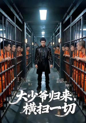 大少爷归来，横扫一切（80集）短剧在线观看
