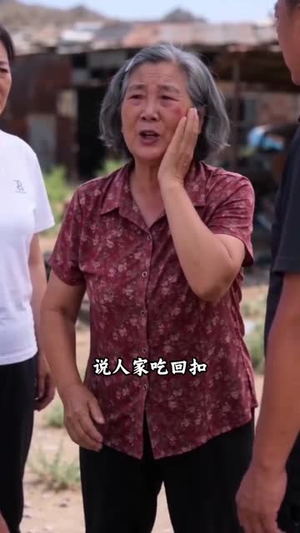 车厘子的风波（34集）在线看