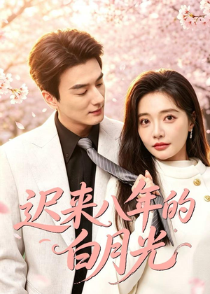 迟来八年的白月光（60集）在线看免费版