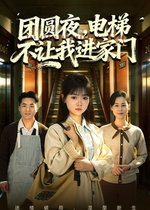 团圆夜，电梯不让我进家门（52集）番茄短剧看全集