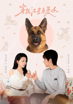 穿越汪星来爱你（62集）超火短剧抢先看