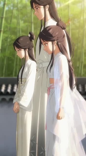 青芜记忆（29集）免费版