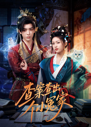 查案查出个小冤家（90集）精彩短剧天天看