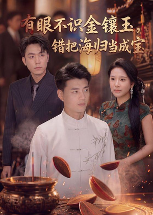 有眼不识金镶玉错把海归当成宝（80集）爆款短剧推荐