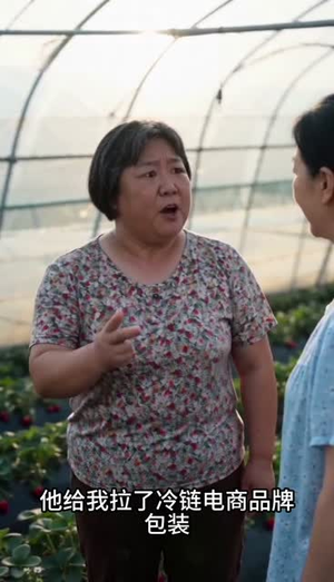 桥塌了，全村慌了！（30集）短剧有好货推荐