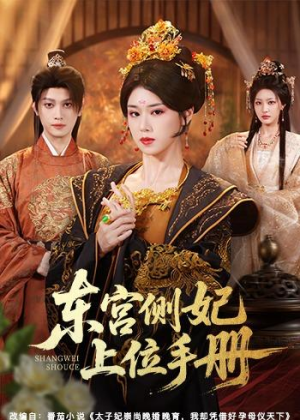 东宫侧妃上位手册（61集）解说文案