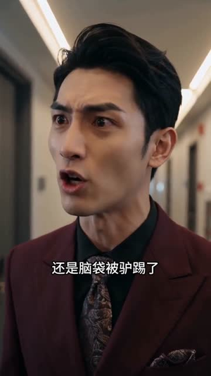 苦尽甘来终有时（34集）甜宠短剧追到爽