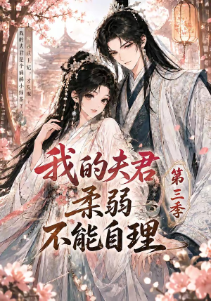 我的夫君柔弱不能自理第三季（56集）在线观看全集